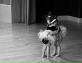 Діана Тиндик фотография #38 (источник - https://vk.com/id178389183)