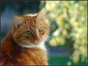 Фотография Векшиной Евгении