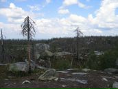 Иван Паньков фотография #42 (источник - https://vk.com/id746503)