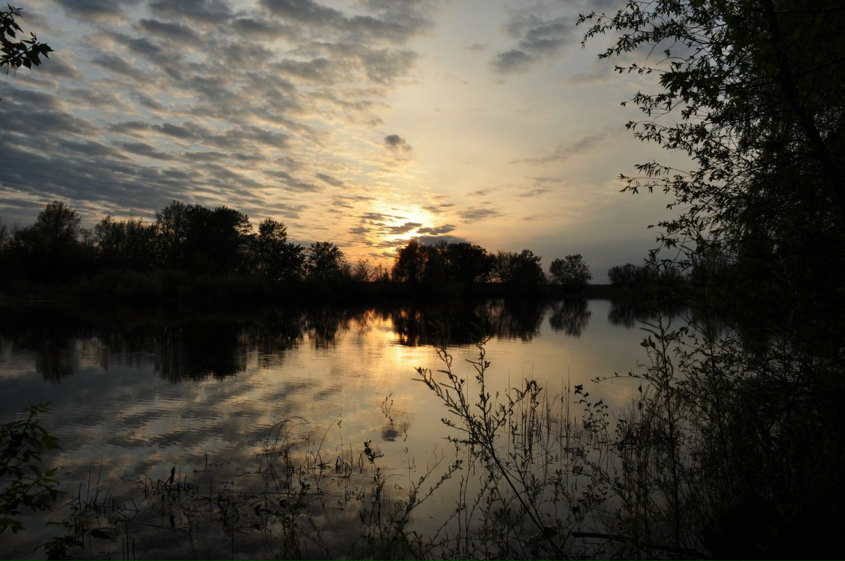 Алена Меденко фотография #10