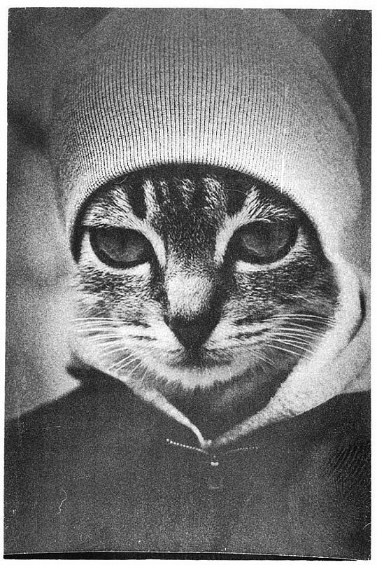 Дмитрий Алексеев фотография #24