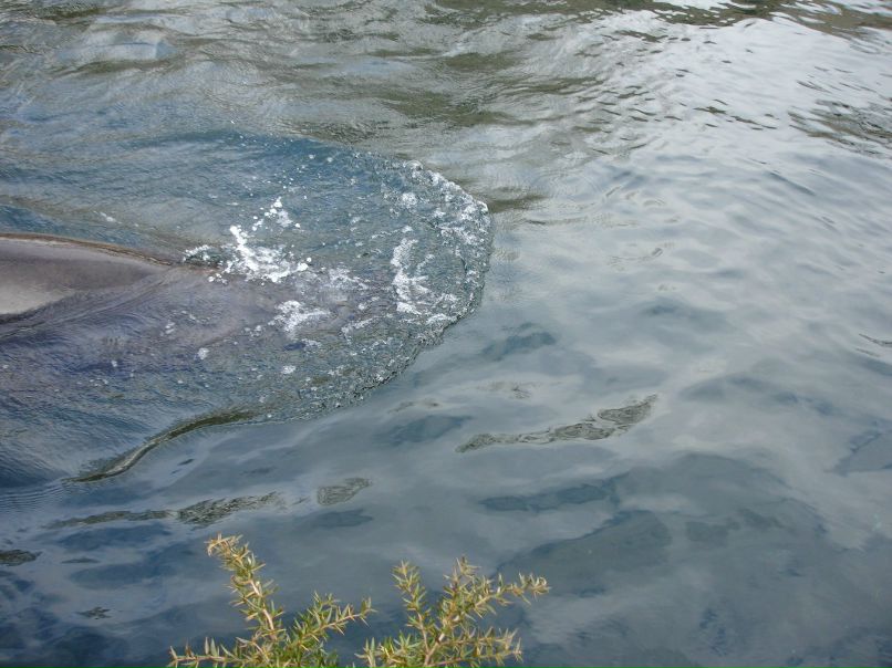 Ирина Лукс фотография #41