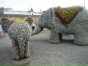 Фотография Иваникова Дмитрия