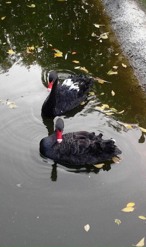 Дима Озеров фотография #8