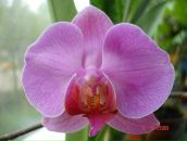 Фотография Литвиновой Светланы