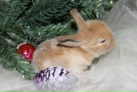 Фотография Андреевны Юлии