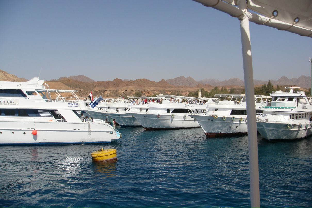 Александр Волков фотография #30