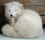 Фотография Александровича Николая