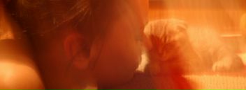 Софья Шебышева фотография #47 (источник - https://vk.com/id924759)