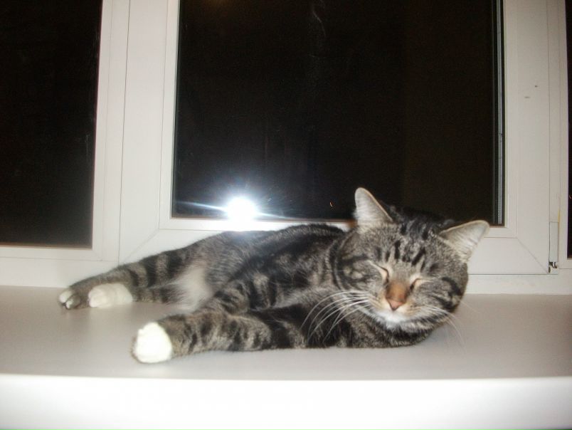 №6, Виталий Бачурин №6, Виталий Бачурин