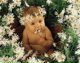 Фотография Тищенко Екатерины