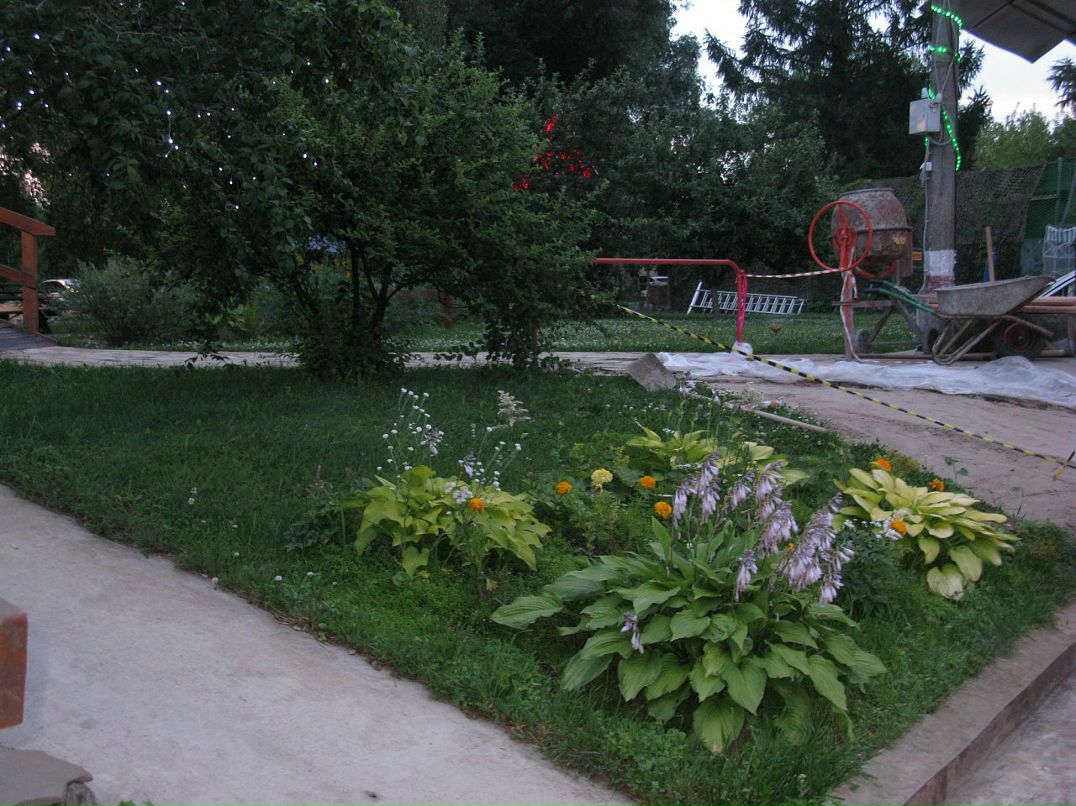 Дмитрий Ермилов фотография #40