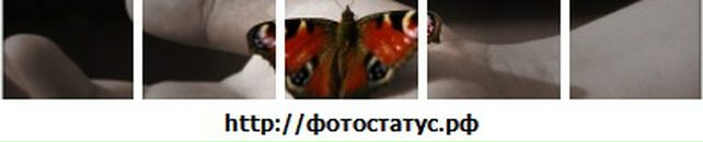 Вітуся Бейко фотография #24 (источник - https://vk.com/id67748452)