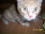 Фотография Зайцева Александра