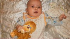 Фотография Животных Стрижки