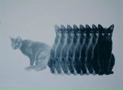 Фотография Чернышевой Марии