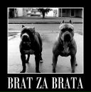 Ігор Курник фотография #2 (источник - https://vk.com/id234658707)