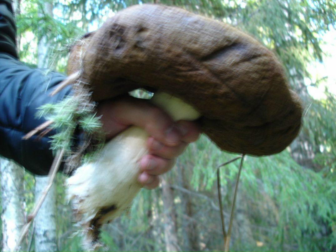 Игорь Kochenoff фотография #18