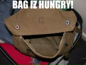 Аня Яковлева фотография #37 (источник - https://vk.com/id21703)