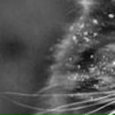 Катюха =) фотография #46 (источник - https://vk.com/id123783235)