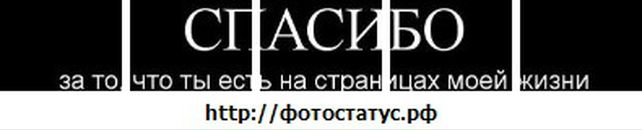 Юлія Поліщук фотография #33 (источник - https://vk.com/id55824987)