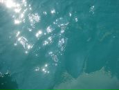 Фотография Массажист-Реабилитолог Юлии