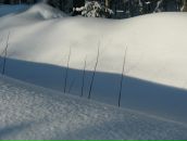 Иван Никулин фотография #40 (источник - https://vk.com/id755602)