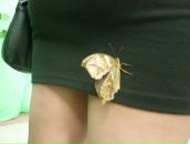 Фотография Коцаревой Ириночки