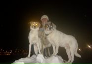 Фотография Дружининой Нади