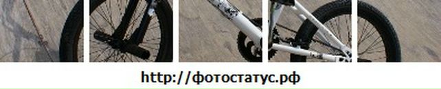 Алекс Пінзелик фотография #15 (источник - https://vk.com/id51520407)