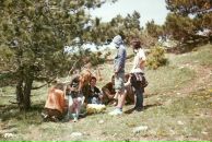 Галка Медалье фотография #20 (источник - https://vk.com/id302008)